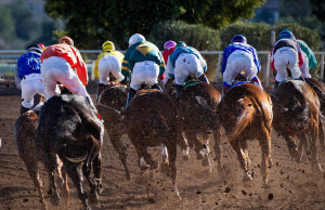 Live Horse Betting Online - Galloping into the Future of Wagering